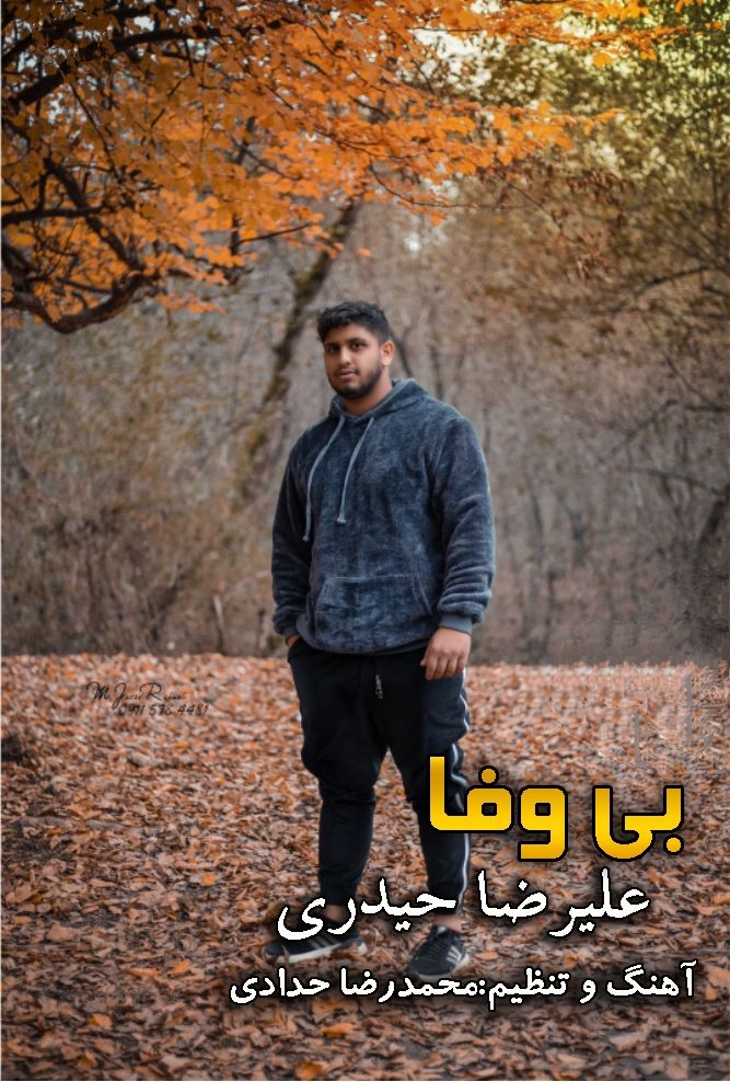 علیرضا حیدری بی وفا